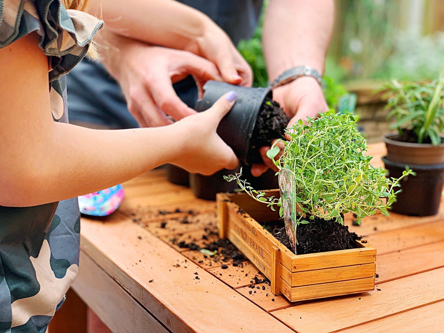 School holiday activity ideas